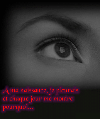 la vie 