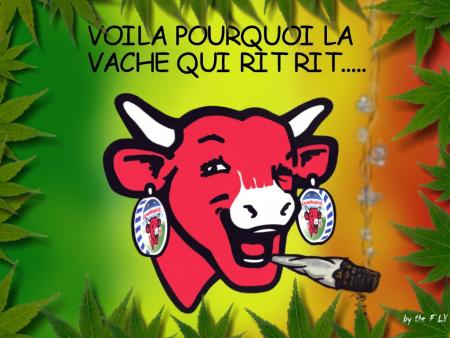 mdr